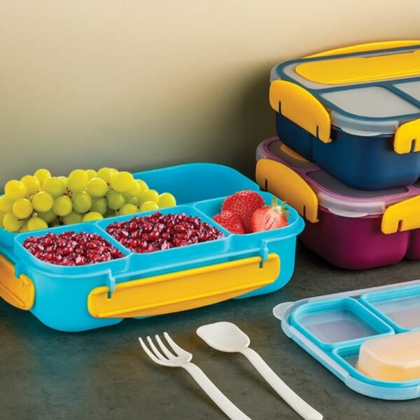 Fusion Bento Lunch Box